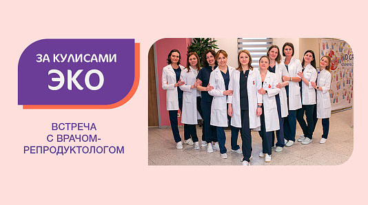 Регулярные встречи «За кулисами ЭКО»