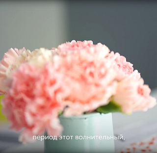 Ведение беременности